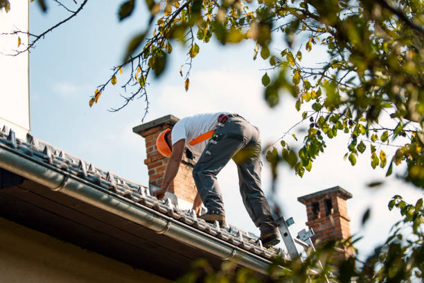 Quick and Trustworthy Emergency Roof Repair Services in Grain Valley, MO