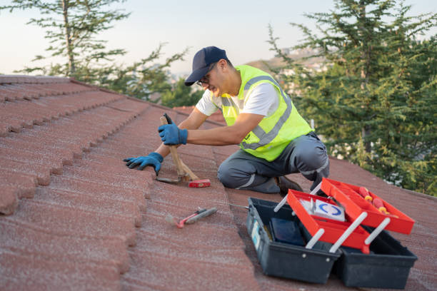 Best Local Roofing Companies  in Grain Valley, MO