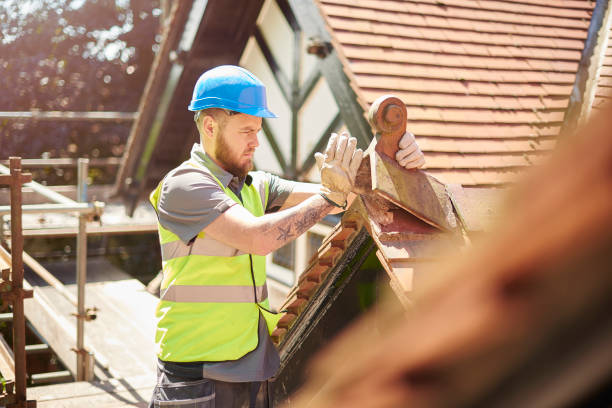 Best Roof Maintenance Services  in Grain Valley, MO