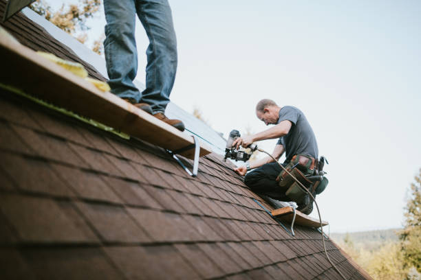 Roof Gutter Cleaning in Grain Valley, MO